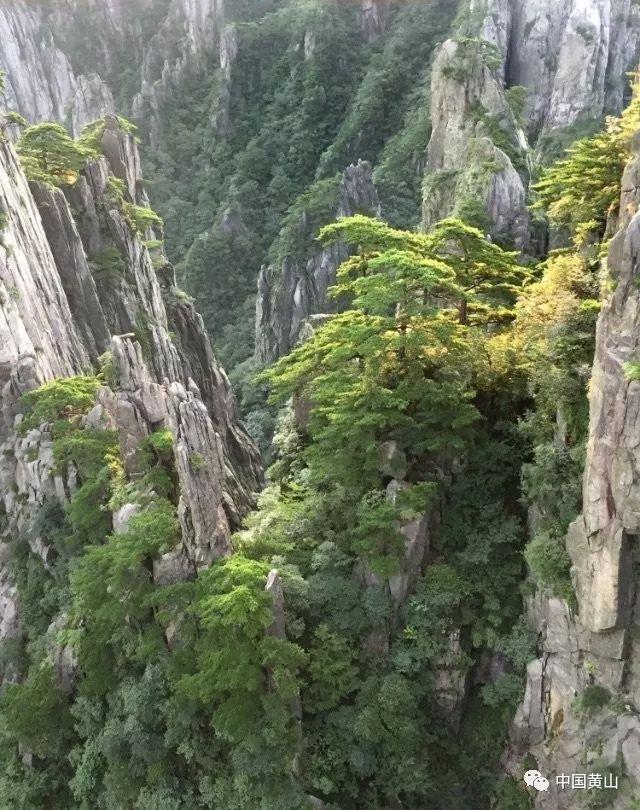 泛亚电竞网站